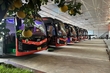 Vân Anh Limousine chuẩn bị đưa tuyến vận tải hành khách Hà Nội – Sầm Sơn vào hoạt động